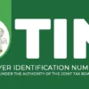 How to Get a Tax Identification Number (TIN) Online in Nigeria Easily (2025 Guide) How to Get a Tax Identification Number (TIN) Online in Nigeria Easily (2025 Guide)