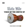 Shatta Wale – 2026 MP3 Download Shatta Wale – 2026 MP3 Download