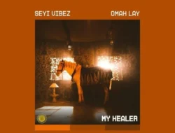 My Healer