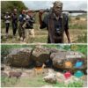 Bandits Attack National Park Service Office in Oyo – Five Feared Dead