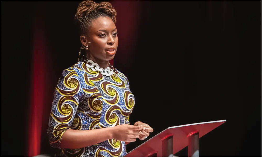 Panel Suspends Medical Director, Two Doctors Over Chimamanda Adichie Son’s Death