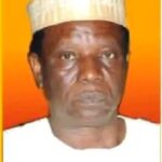 What precisely is INEC’s job? By Tonnie Iredia 